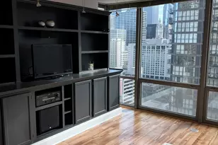 2 E Erie St, Chicago, IL 60611 - Photo 16