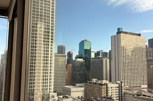 2 E Erie St, Chicago, IL 60611 - Photo 18