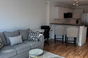 2 E Erie St, Chicago, IL 60611 - Photo 14