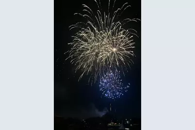 14058 S Hemingway Circle, Plainfield, IL 60544 - Photo 22