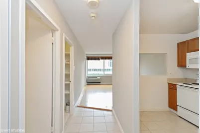 211 E Ohio Street #2505, Chicago, IL 60611 - Photo 2
