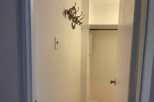 175 E Delaware Pl, Chicago, IL 60611 - Photo 14