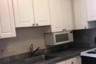 111 W Maple St, Chicago, IL 60610 - Photo 6