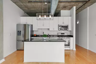 50 E 16th Street #411, Chicago, IL 60616 - Photo 14