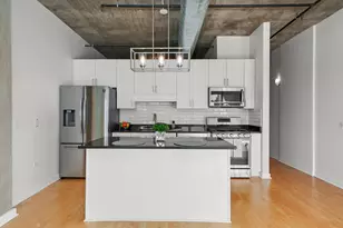 50 E 16th St, Chicago, IL 60616 - Photo 14