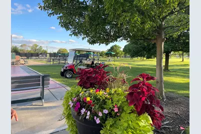 13810 S Magnolia Drive, Plainfield, IL 60544 - Photo 30