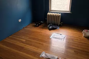 7430 S Luella Ave, Chicago, IL 60649 - Photo 4