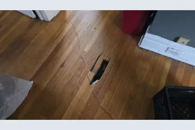 7430 S Luella Avenue, Chicago, IL 60649 - Photo 16