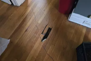 7430 S Luella Ave, Chicago, IL 60649 - Photo 16