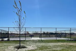 507 Autumn Moor Trl, Hampshire, IL 60140 - Photo 24