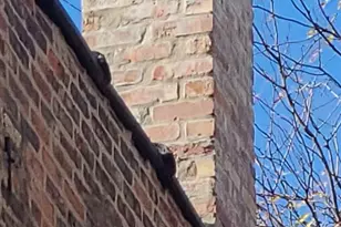 7625 S Sangamon St, Chicago, IL 60620 - Photo 42