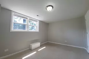 349 E Maple Dr, Glenwood, IL 60425 - Photo 16