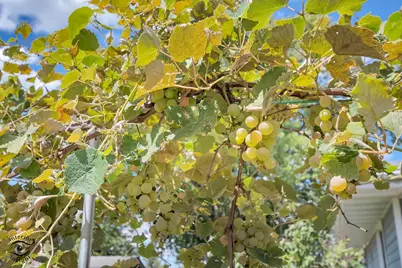 2434 N 7000W Road, Bonfield, IL 60913 - Photo 16