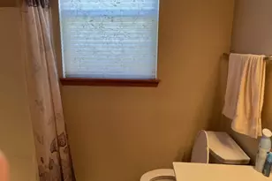 296 W Prairie Walk Ln, Round Lake, IL 60073 - Photo 8