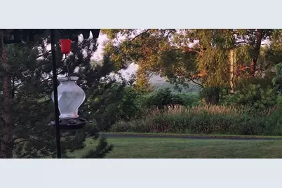 12255 Wildflower Lane, Huntley, IL 60142 - Photo 34