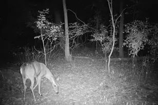 34531 S Lakeside Terrace, Wilmington, IL 60481 - Photo 46