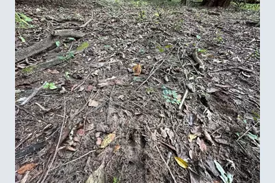 34531 S Lakeside Terrace, Wilmington, IL 60481 - Photo 44