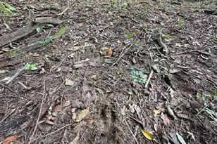 34531 S Lakeside Terrace, Wilmington, IL 60481 - Photo 44