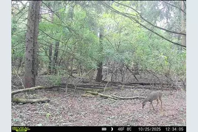 34531 S Lakeside Terrace, Wilmington, IL 60481 - Photo 48