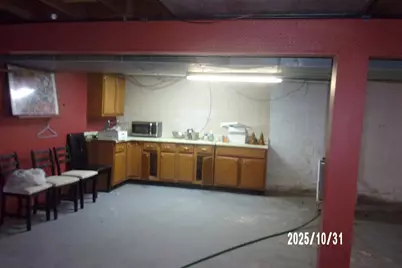 407 E Pine Street, Chatsworth, IL 60921 - Photo 12
