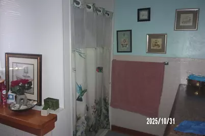 407 E Pine Street, Chatsworth, IL 60921 - Photo 20