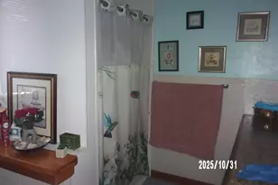 407 E Pine St, Chatsworth, IL 60921 - Photo 20