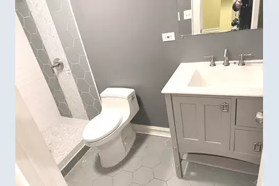 8227 S Avalon Avenue, Chicago, IL 60619 - Photo 20