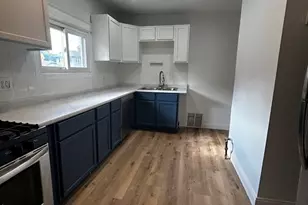 1041 W 104th Pl, Chicago, IL 60643 - Photo 4