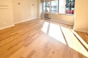 211 E Ohio St, Chicago, IL 60611 - Photo 6