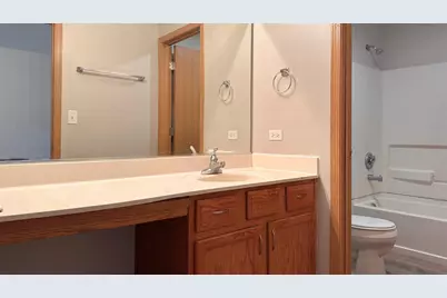 453 Fairway Court, University Park, IL 60484 - Photo 10