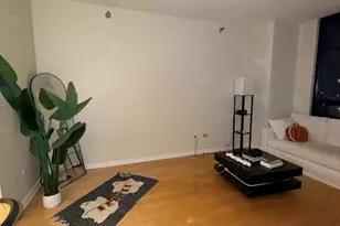 1255 S State St, Chicago, IL 60605 - Photo 6