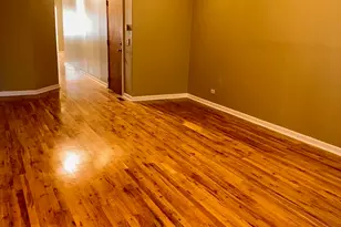 6716 S Chappel Ave, Chicago, IL 60649 - Photo 2