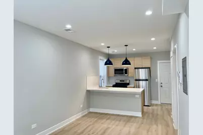 2238 W 24th Street #1F, Chicago, IL 60608 - Photo 2