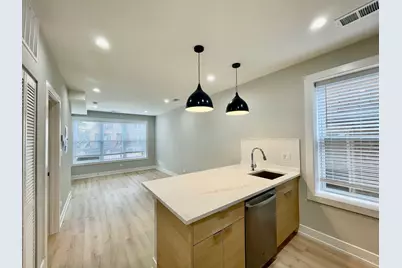 2238 W 24th Street #1F, Chicago, IL 60608 - Photo 8