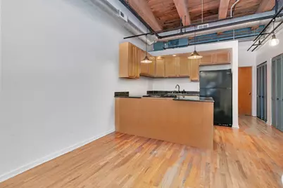 2310 S Canal Street #212, Chicago, IL 60616 - Photo 6