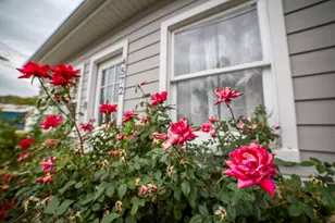 4572 Rumsey Ave, Oak Lawn, IL 60453 - Photo 20