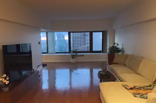 175 E Delaware Pl, Chicago, IL 60611 - Photo 2