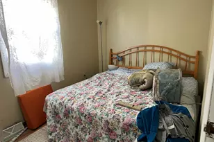 13150 S Houston Ave, Chicago, IL 60633 - Photo 6