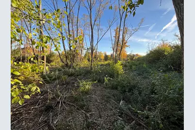 21647 Owens Road, Mokena, IL 60448 - Photo 1