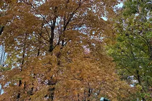 2110 60th St, Monmouth, IL 61462 - Photo 26