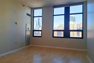1255 S State St, Chicago, IL 60605 - Photo 20