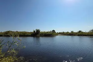 2368 Alison Ave, Pingree Grove, IL 60140 - Photo 26