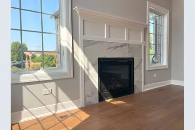 9724 Folkers Drive, Frankfort, IL 60423 - Photo 8