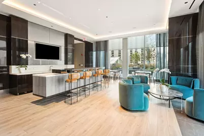 14 W Superior Street #4903, Chicago, IL 60654 - Photo 24