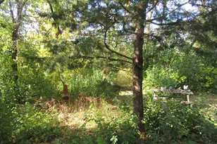 740 N Junior Terrace, Elmhurst, IL 60126 - Photo 26