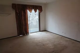 740 N Junior Terrace, Elmhurst, IL 60126 - Photo 10