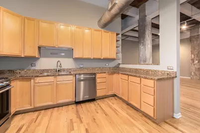 312 N May Street #4J, Chicago, IL 60607 - Photo 10