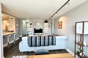 1455 N Sandburg Terrace, Chicago, IL 60610 - Photo 8