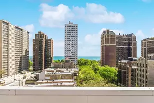 3900 N Pine Grove Ave, Chicago, IL 60613 - Photo 2