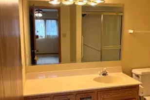 10831 Mississippi Ct, Orland Park, IL 60467 - Photo 18